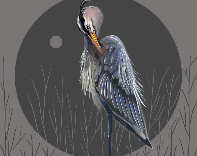 an illustration of a heron